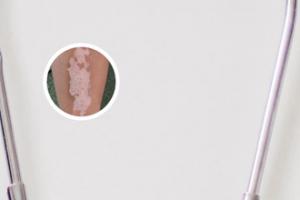 ҪעЩ